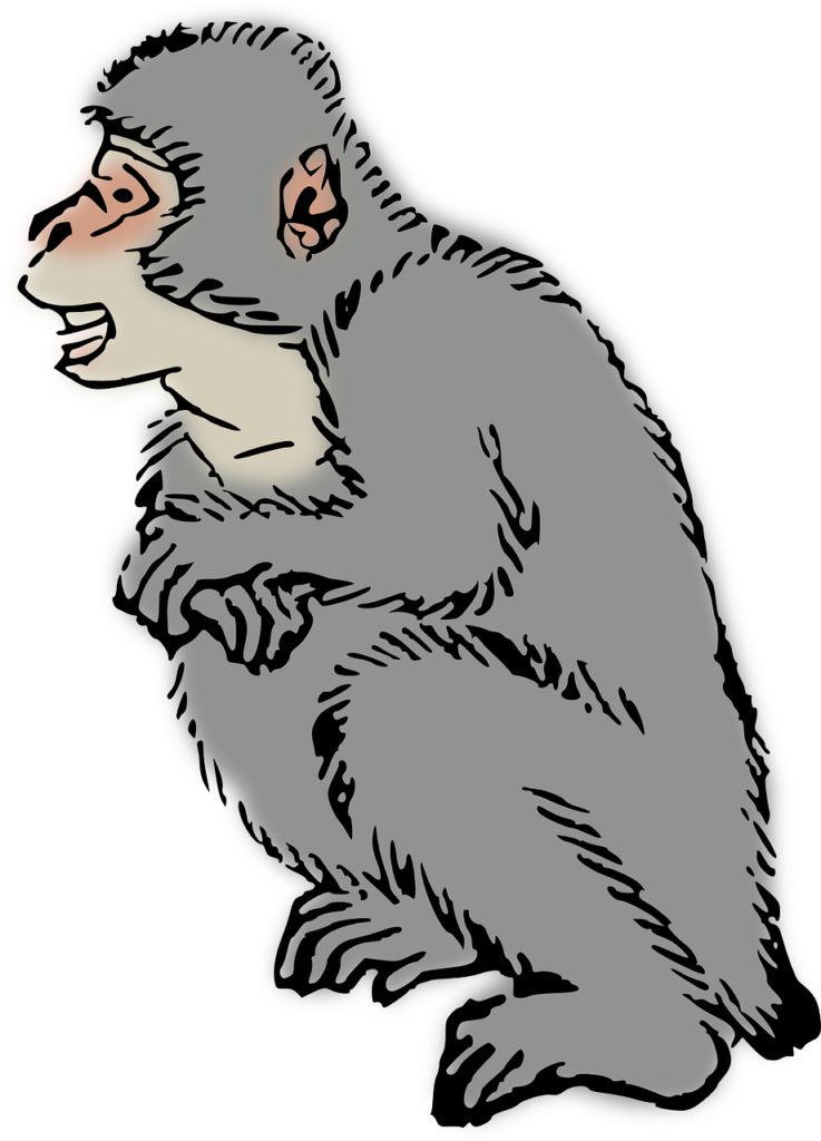 Descubra se na evolução você é Macaco ou é Barro 5 - animal 158943 1280