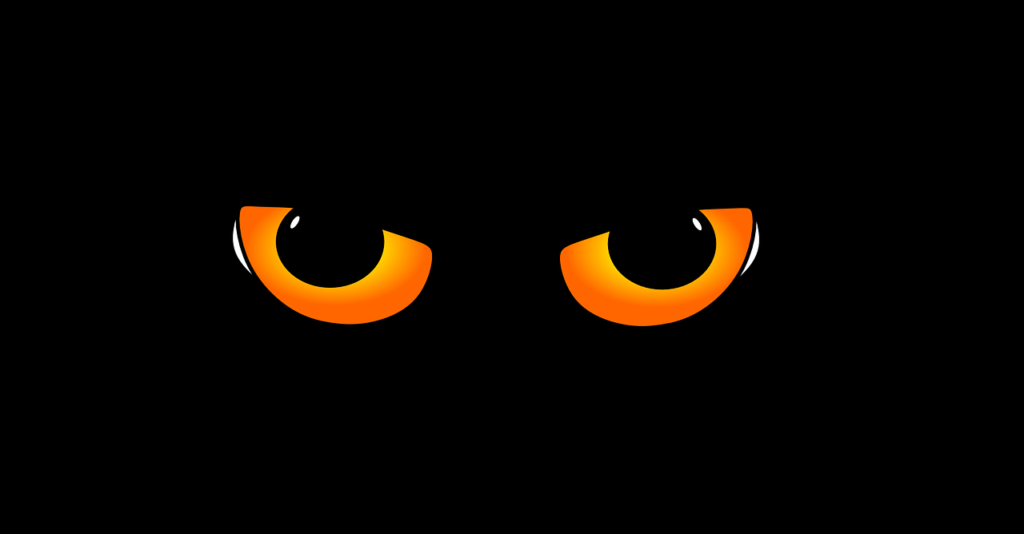 Olhos do gato de Shorindger