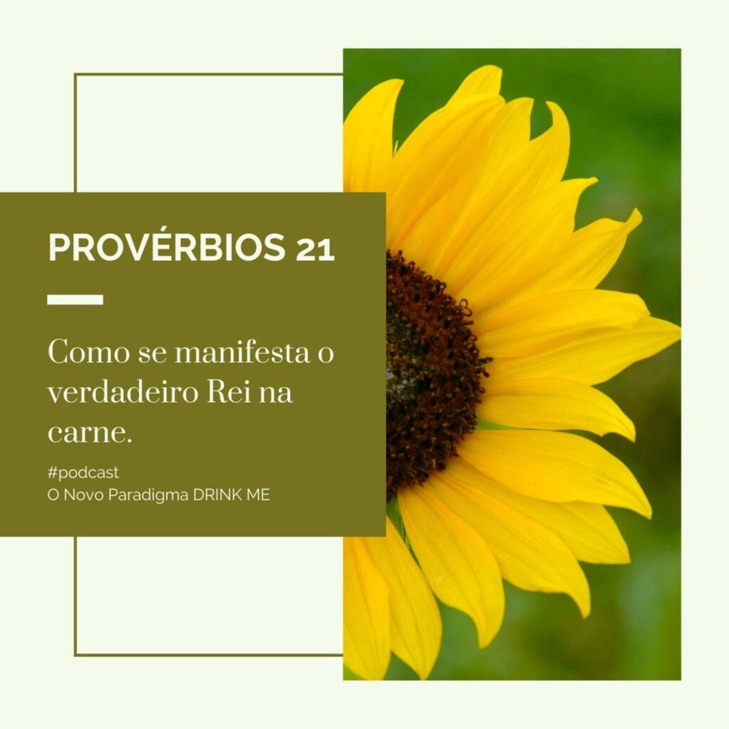 O Novo Paradigma Drink me Provérbios 21: Ser e Devir 11 - 5355820 1639927410666 dacc0575f9927